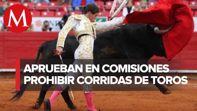Diputados de CdMx aprueban prohibir corridas de toros