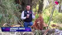 Ecocidio en Ayotlán: miles de peces muertos