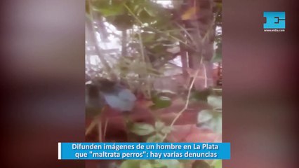 Difunden imágenes de un hombre en La Plata que maltrata perros