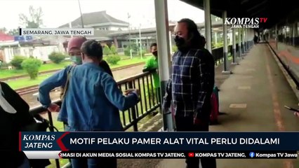 Ketua Himpsi Jateng : Motif Pelaku Pamer Alat Vital Perlu Didalami