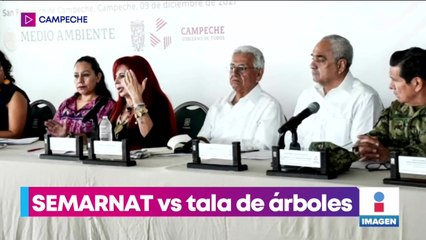 Semarnat va contra la tala de árboles