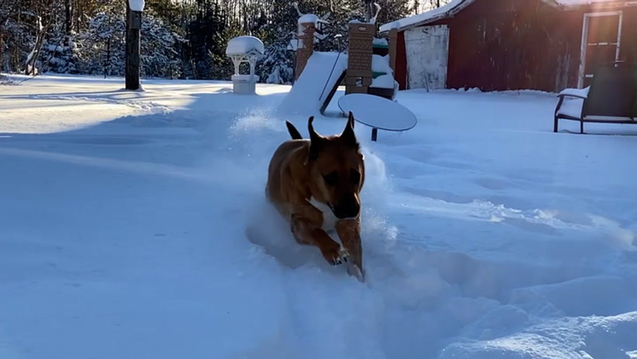 Snow blankets the Upper Midwest