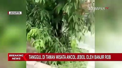 Pasca Tanggul Jebol, Banjir Rob di Taman Impian Jaya Ancol Sudah Mulai Surut