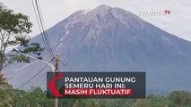 Pantauan Gunung Semeru: Hari Ini Masih Fluktuatif