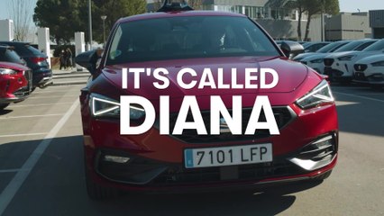 DIANA prototype - greater autonomy, enhanced safety