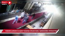 İstanbul'da yabancılardan oluşan yasadışı organ nakli şebekesine operasyon