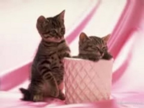 Fokaha 02 lol mdr dahka 2008