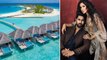 Katrina Kaif Vicky Kaushal का Honeymoon Destination Reveal, Marriage के बाद रहेंगे यहां | Boldsky