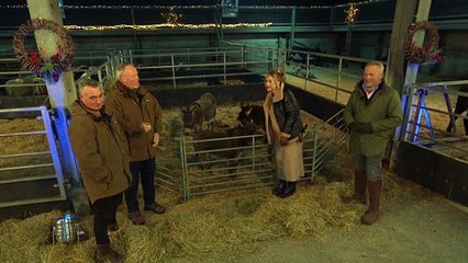 Helen Skelton gets bitten by live on TV