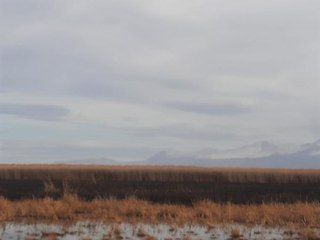 Son dakika haber | SULTAN SAZLIĞI MİLLİ PARKI'NDAKİ YANGIN, 7 SAATTE SÖNDÜRÜLDÜ
