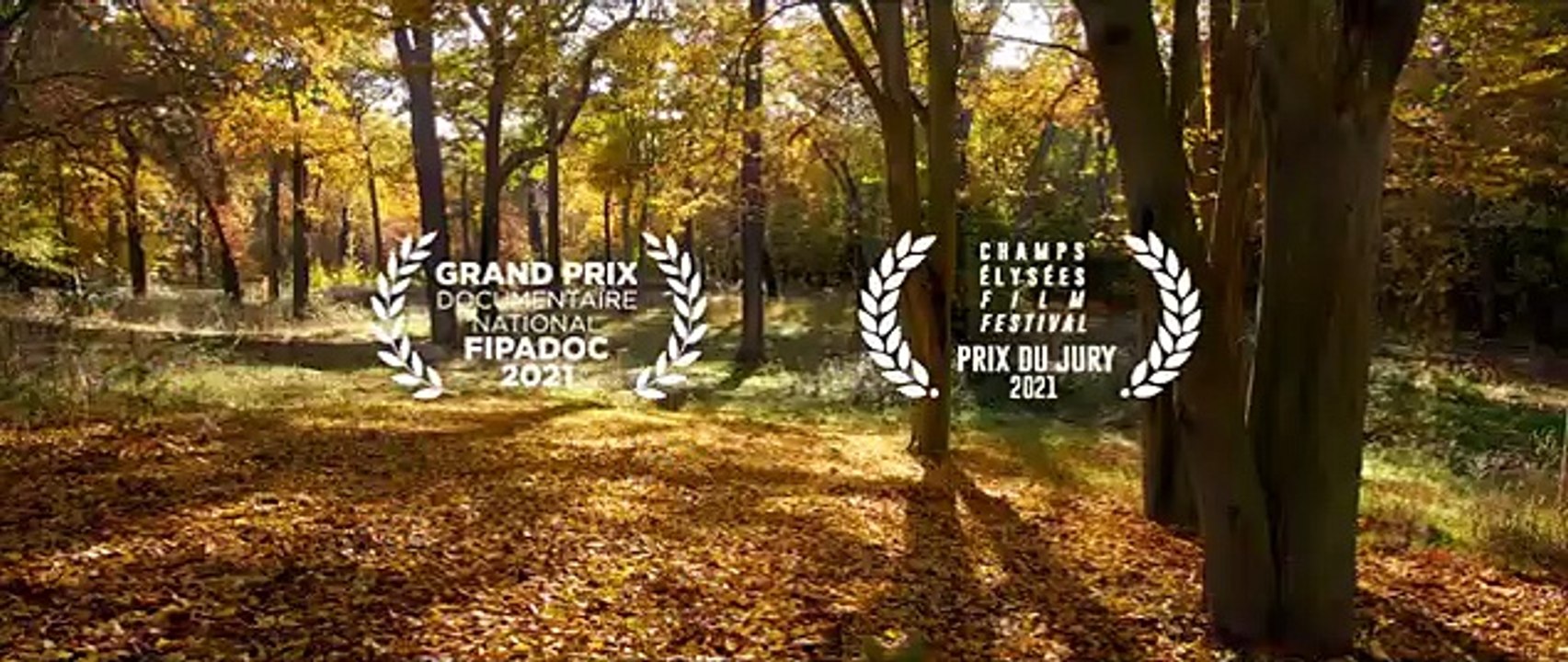 AU COEUR DU BOIS de Claus Drexel - BANDE-ANNONCE