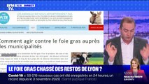 La mairie de Lyon conseille aux restaurateurs de supprimer le foie gras de leur carte