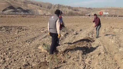 Ahlat Lavanta Parkı projesi fotoğraf turizmine katkı sunacak