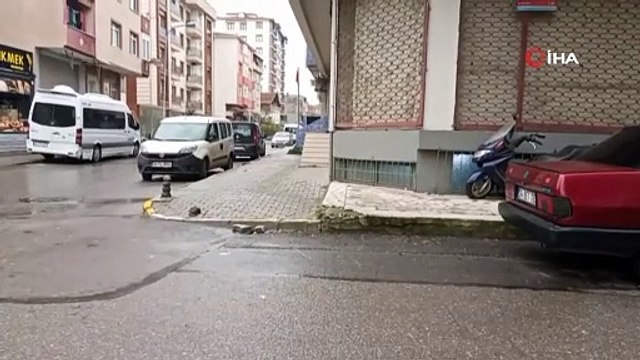 Hem köpeğe, hem de köpeğin sahibine saldırdılar