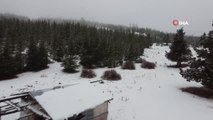 Mersin'in yüksek bölgelerine mevsimin ilk karı yağdı