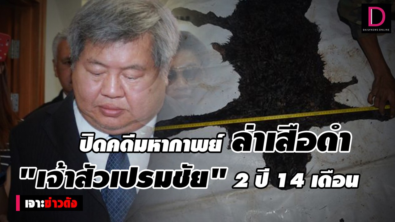 ปิดคดีมหากาพย์ล่าเสือดำ สั่งจำคุก "เจ้าสัวเปรมชัย" 2 ปี 14 เดือน ไม่รอลงอาญา |  เจาะข่าวดัง 06/12/64 เดลินิวส์