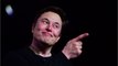 Neuralink : Elon Musk veut placer des micropuces dans les cerveaux humains dès 2022