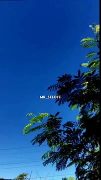 #shorts ❤️ Sad Shayari Status Poetry Status Instagram Reels #Youtubeshorts #shortsfeed