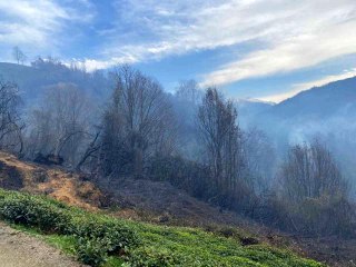 Rize'nin Fındıklı ilçesinde yangın