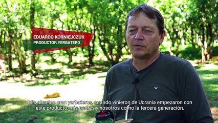 Yerba mate bien misionera