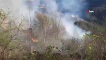 Son dakika gündem: Trabzon'un Sürmene ilçesinde bahçe temizliği orman yangınına neden oldu