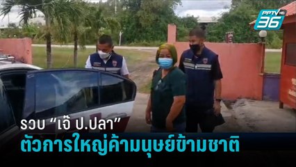 ตม.รวบ “เจ๊ ป.ปลา” ตัวการใหญ่ค้ามนุษย์ข้ามชาติ ลวงคนไทยไปทำงานกัมพูชา - เข้มข่าวค่ำ