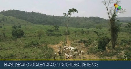 Agenda Abierta 08-12: Senado brasileño emite nuevo marco regulatorio de tierras