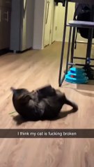 Heavy practice session