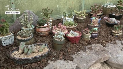 작전명 '그녀를 유혹해라'!! 아내를 산으로 부르기 위한 자연인의 작전은?