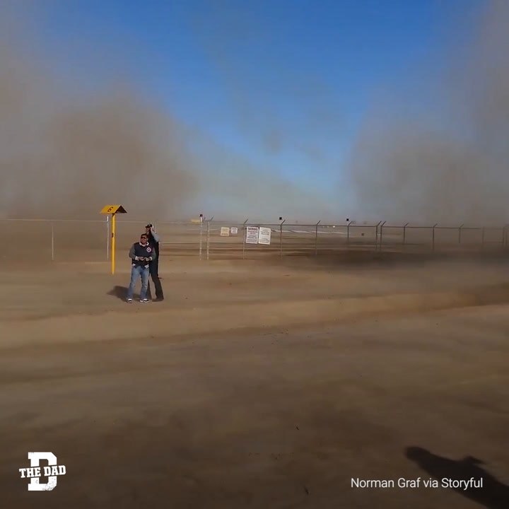 Hornet Raises Dust