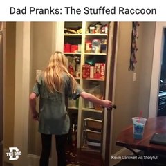 Dad Pranks The Stuffed Raccoon