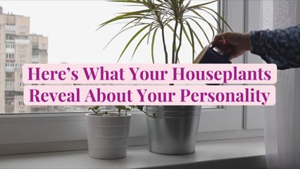 Here’s What Your Houseplants Reveal About Your Personality