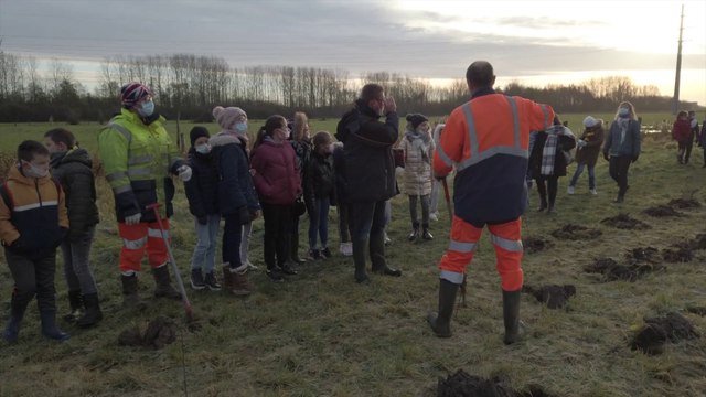 Actus : Plantations d'arbres au lac d'Armbouts-Cappel - 08 Décembre 2021
