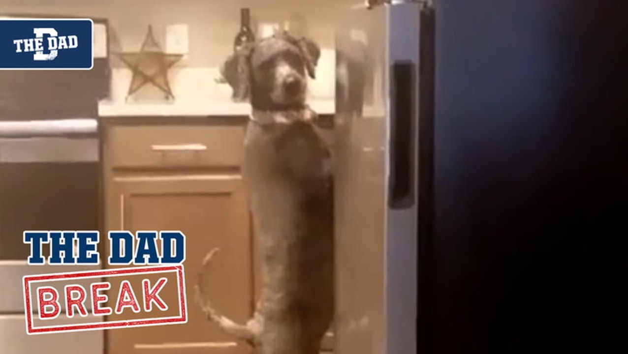 Dad - Dog Caught