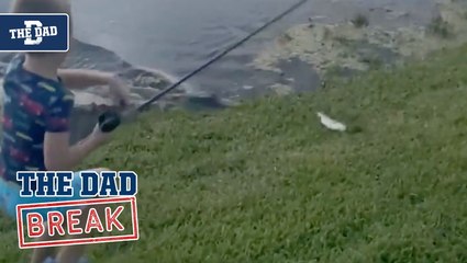 Dad - Alligator Eats Fish
