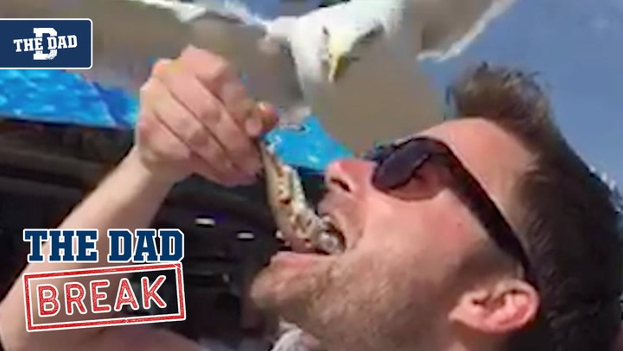 Dad - Gull Steal