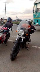 IBW 2021: Creators Co Stickers & Vinyl