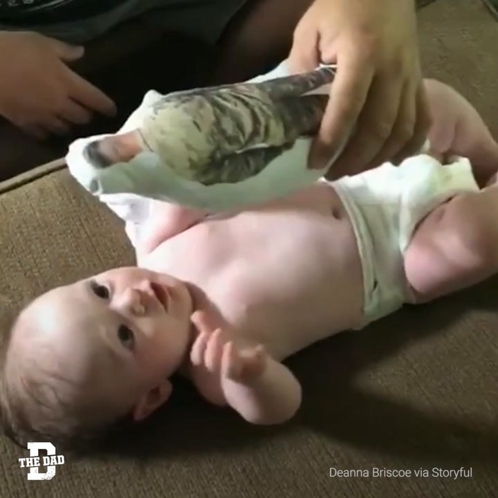 Dad Doll