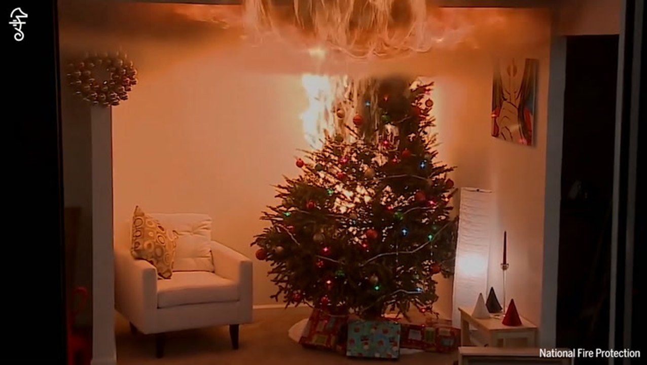 WATER YOUR DAMN TREE