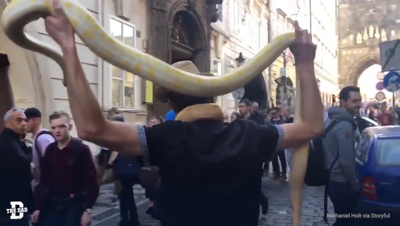 Snake