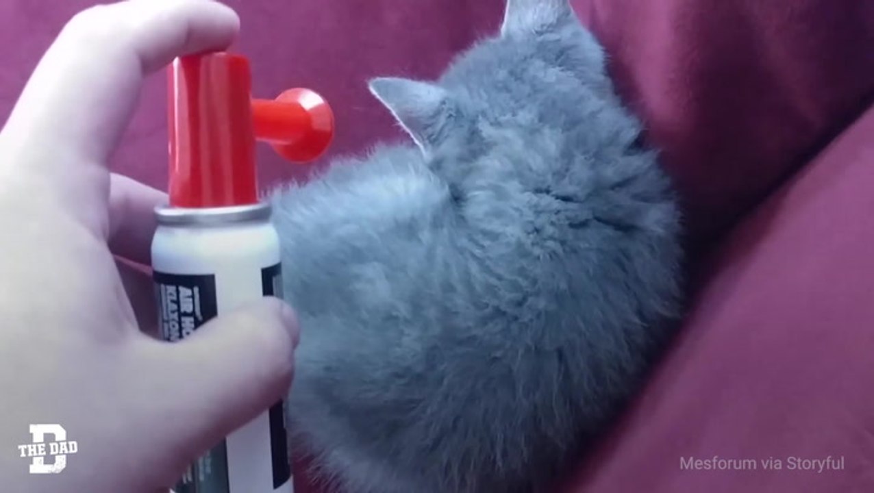 Airhorn