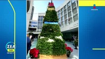 Peculiar árbol de Navidad en el Senado causa polémica