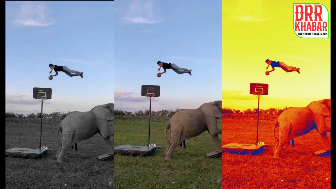 Man Play Basketball with elephant । old man play basketball । old man play basketball prank । basketball trending reels । basketball instagram reels । basketball funny moments । elephant playing basketball । elephant funny video । elephant viral video । e