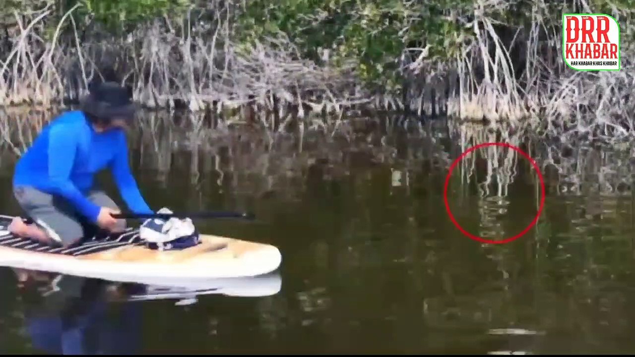viral video । crocodile attack man in river । crocodile viral video । crocodile attack viral video । crocodile attacks hunter । crocodile attack man killed । crocodile hunting । alligator attacks । alligator attack man । alligator attacks in zoo । alligat