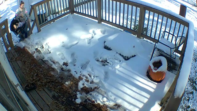 Woman Stunned After Door Handle Snaps Off