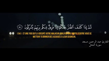 Sourate An-Nahl (52-64) - Abdurrahman Mossad  سورة النحل - عبد الرحمن مسعد