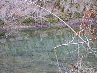 Résurgence source Saint-Sauveur