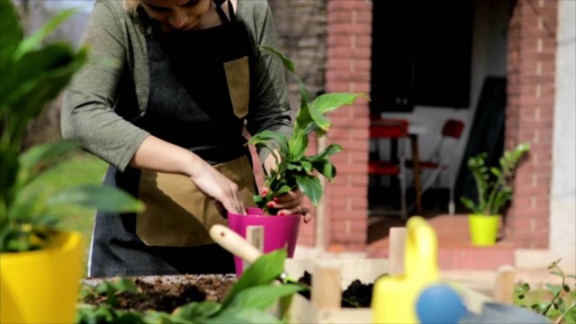 Our Checklist Will Have Your Lawn and Garden Looking Better Than Ever This