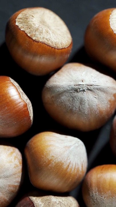 Close-up Video of a Hazelnuts