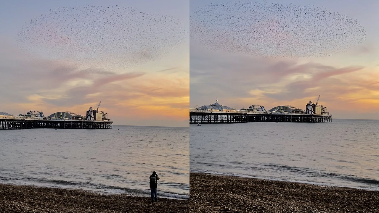 'Murmuration of Starlings twists across the sky & forms incredible spaceship-shaped pattern over Brighton Pier'